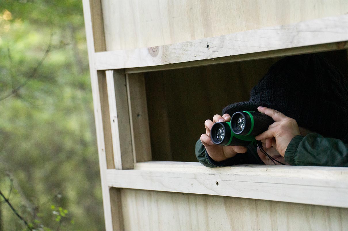 A boy looks through binoculars in a wooden bird hide