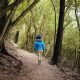 A boy walks through forest at Ashley Gorge