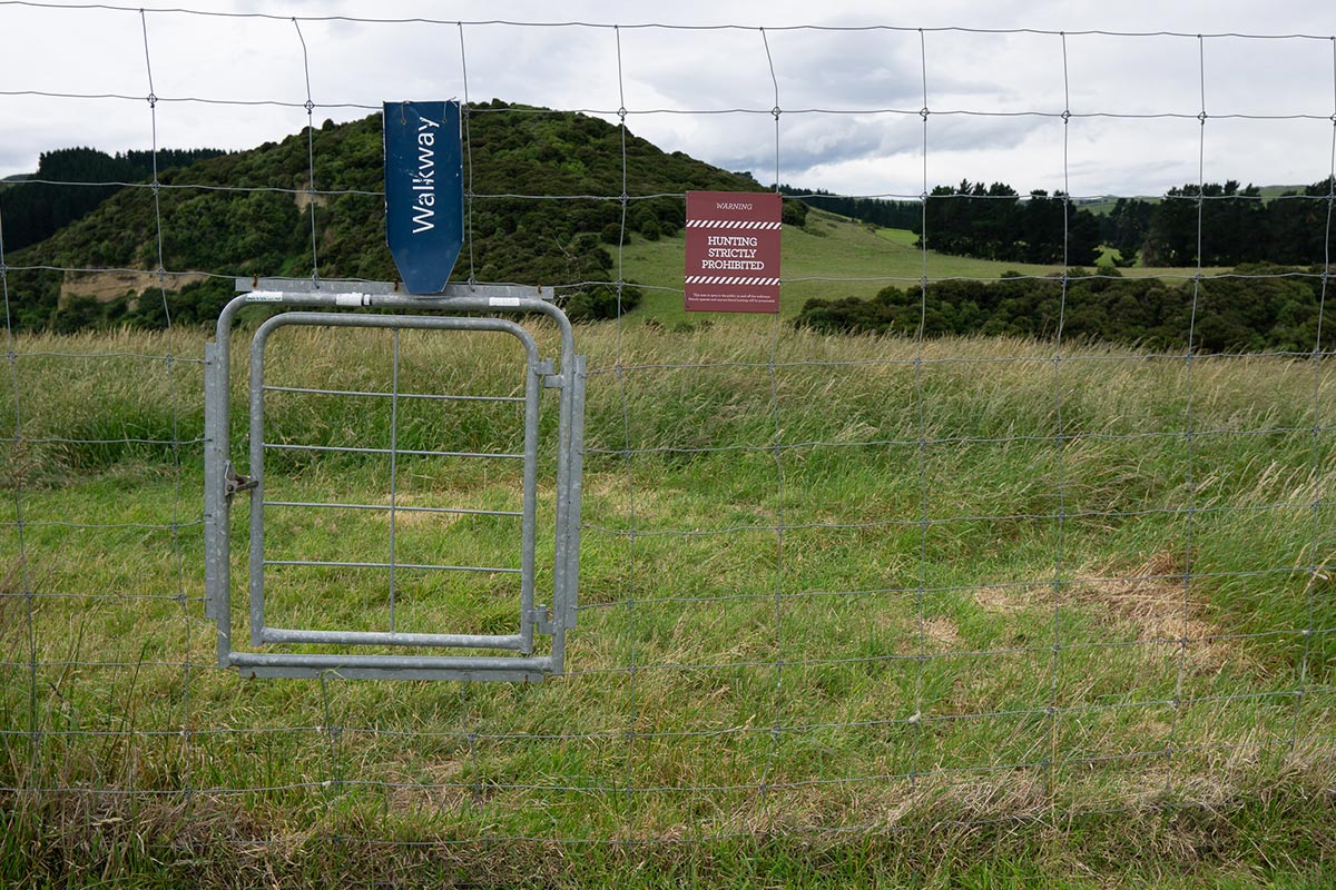 A gate through a deer fence