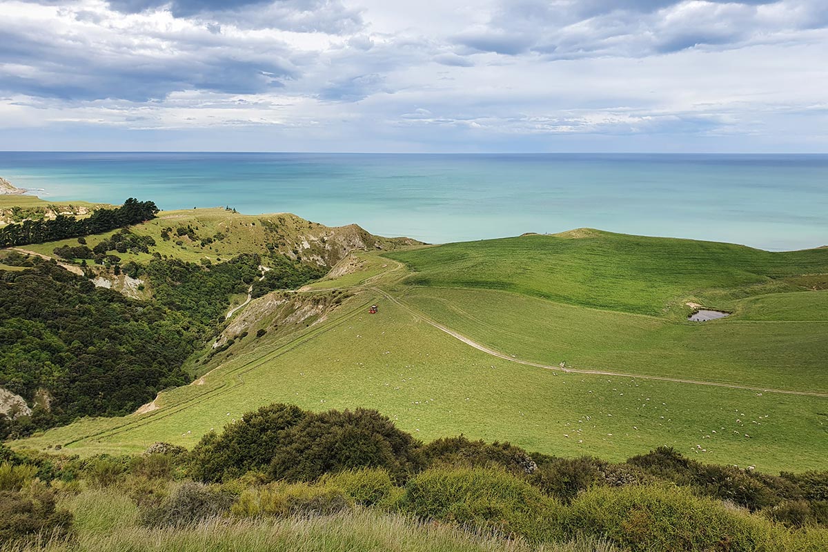 Tiromoana Bush Walk Vista