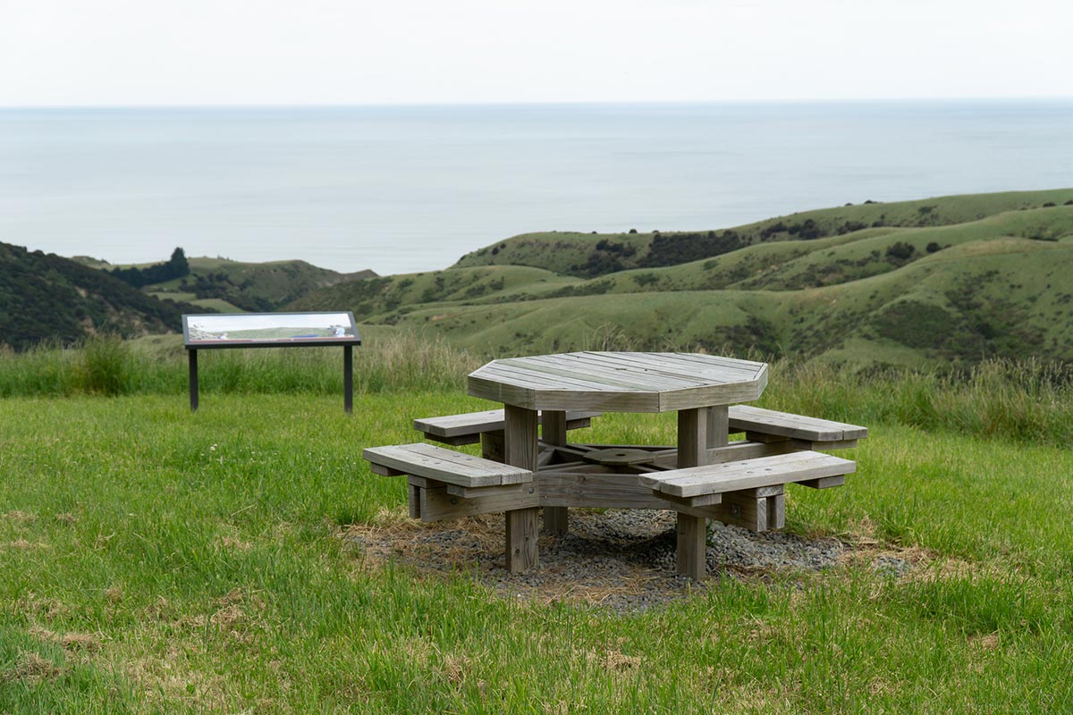 Barabara's Lookout at Tiromoana Bush Walk