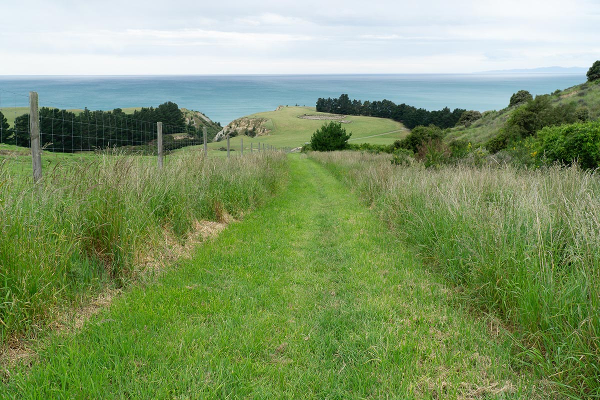 A grassy path on the way to hills and then the ocean