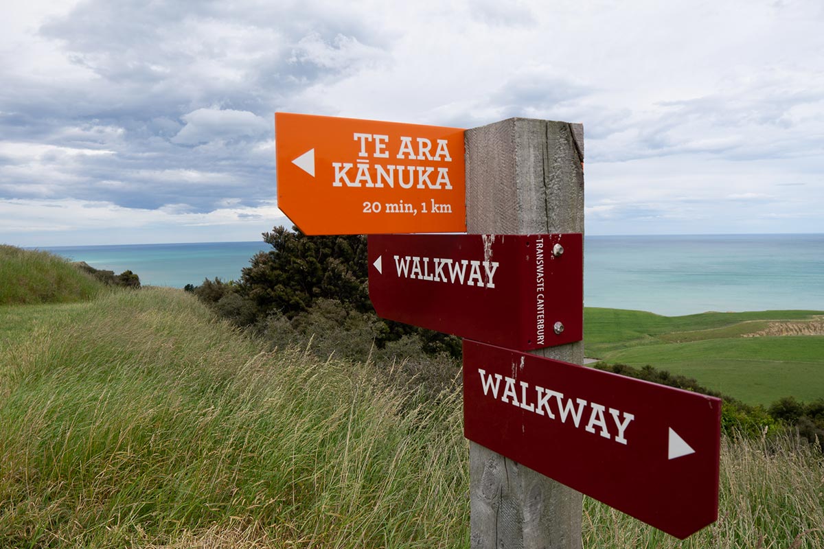 Tiromoana Bush Walk Signs