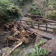 Glentui River Bridge Flood Damage