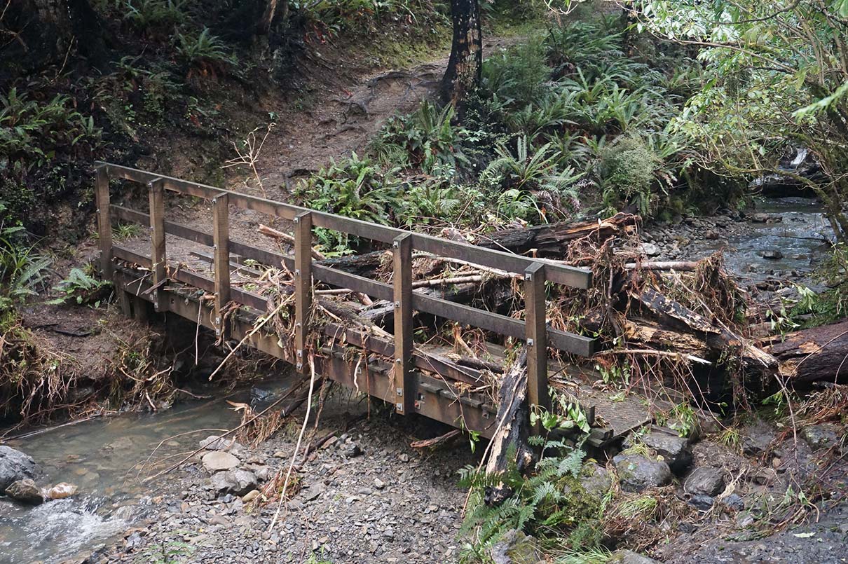 Fallen Trees on the Damaged Glentui Track Bridge