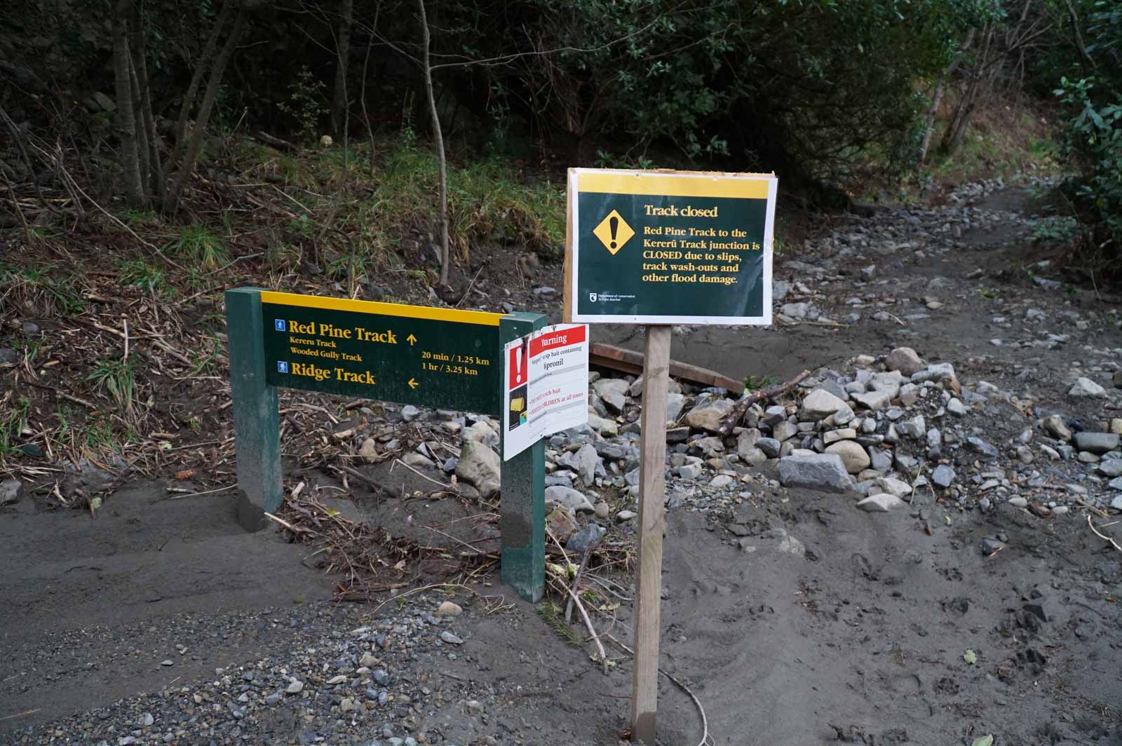 DOC signs at the base of the Red Pine to Wooded Gully track