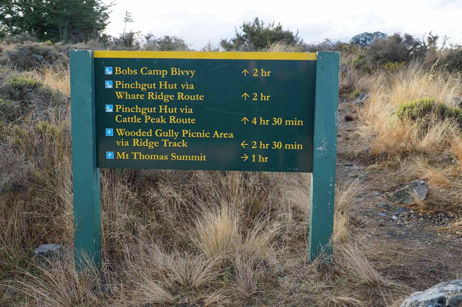 DOC sign at the intersection of Ridge Track and the loop to Pinchgut Hut