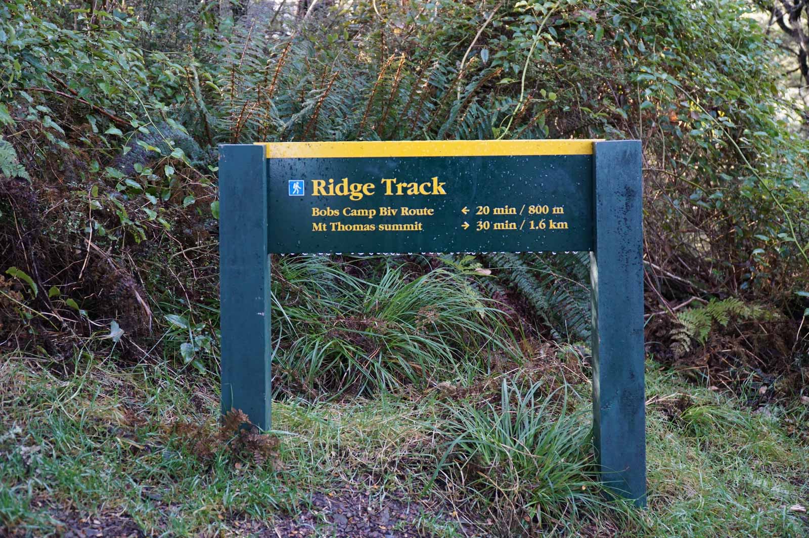 DOC Sign at Wooded Gully & Ridge Track Intersection